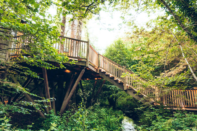 12. Steps up to the treehouse