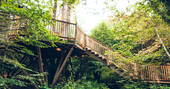 12. Steps up to the treehouse