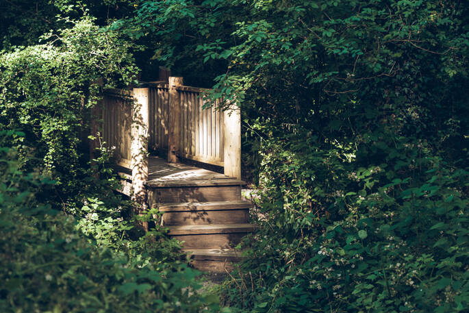 15. Steps to the treehouse