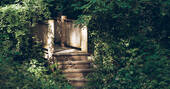 15. Steps to the treehouse