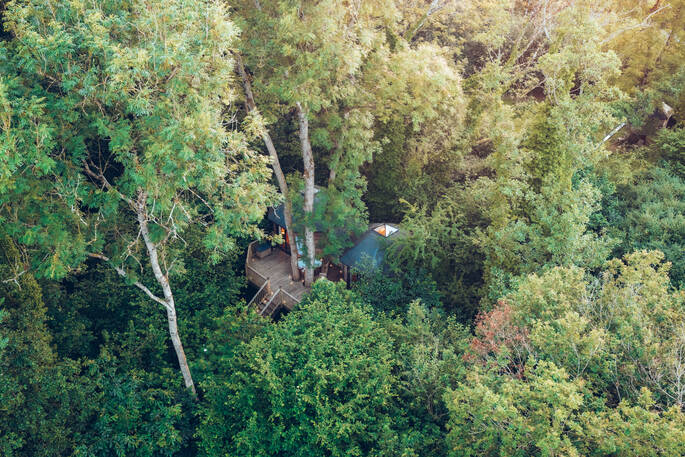19. Treehouse exterior
