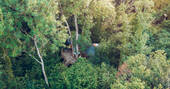19. Treehouse exterior