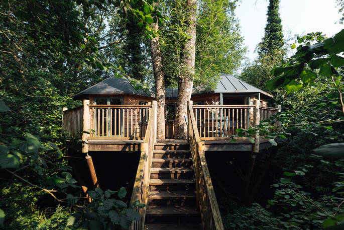 stairs to treehouse