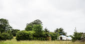 yurts from afar, family friendly, somerset
