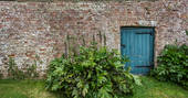 yarlington house, garden, brick wall, bush, door