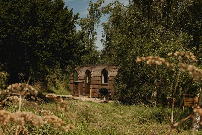 Birch exterior through trees