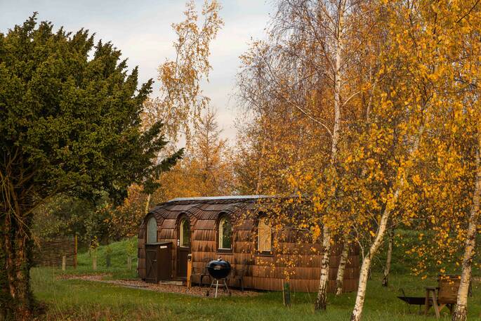 Birch exteriror with trees