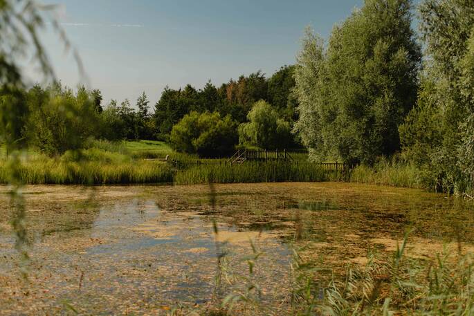 Blyth Rise (smaller) - Rebecca Hope Photography-2085