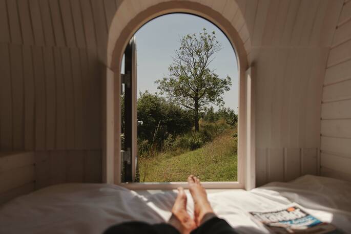 willow inteririow window