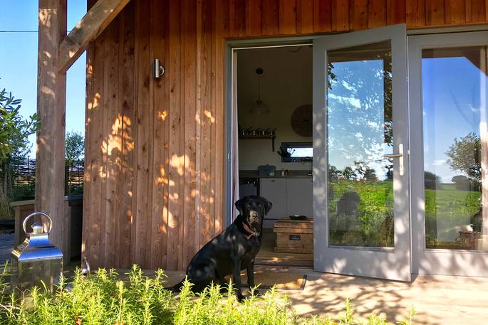A black labrador relaxing on the decking outside the dog-friendly Hare Field Cabin in Suffolk