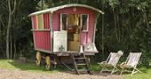 Gypsy's Rest gypsy caravan camping site, Hasketon, Nr. Woodbridge, Suffolk, England by Chris Rawlings