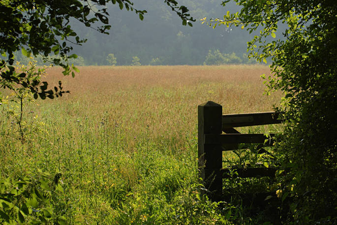Gateway into Flebane Furrow by Roz Gordon