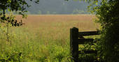 Gateway into the wildflower meadow at Secret Meadows in Suffolk
