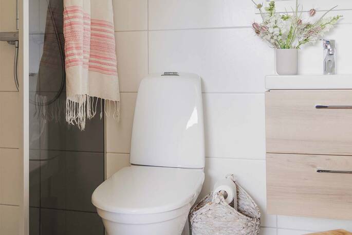 Bathroom with a hot shower, sink and flushing toilet