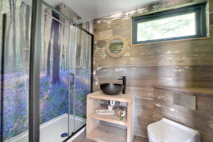 Bathroom with walk in shower, flushing toilet and sink