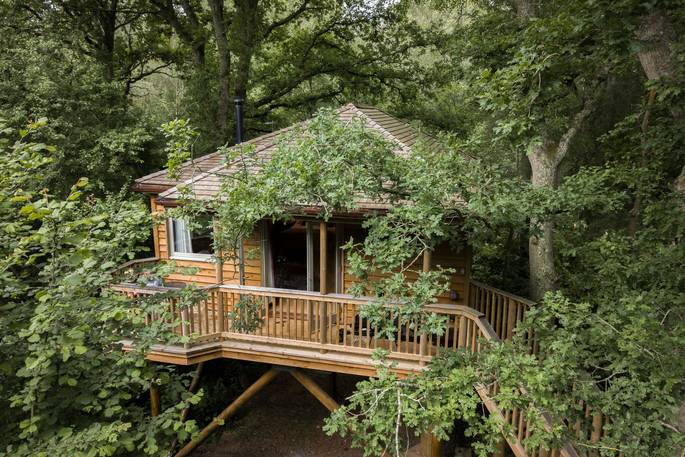 Front exterior showing the treehouse in the trees