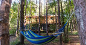 Relax in the hammock