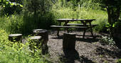 picnic table and firepit