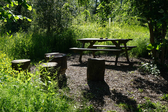 Savannah Cabin fire pit and picnic bench in the woods, Forest Garden, Ashurstwood, East Sussex