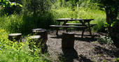 Savannah Cabin fire pit and picnic bench in the woods, Forest Garden, Ashurstwood, East Sussex