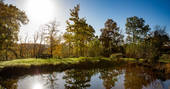 Savannah Cabin pond, Forest Garden, Ashurstwood, East Sussex
