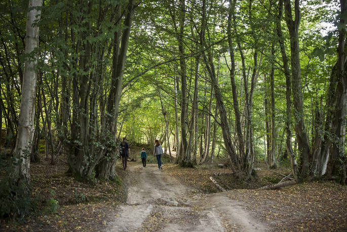 Bodichon Yurt woods at Robertsbridge, Sussex
