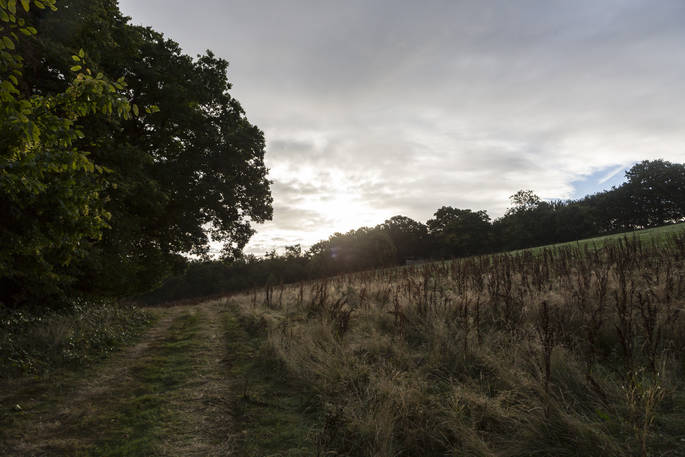 de Etchyngham geodome meadow at Robertsbridge, Sussex