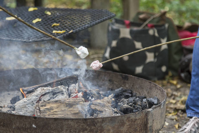 Rossetti cabin firepit marshmallows at Robertsbridge, Sussex