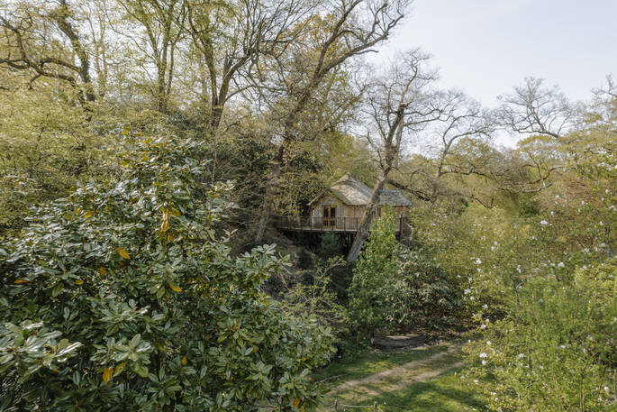 The Buzzardry treehouse drone view, Rushlake Green, Sussex, England