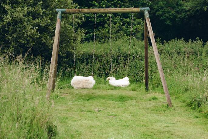 Two swings