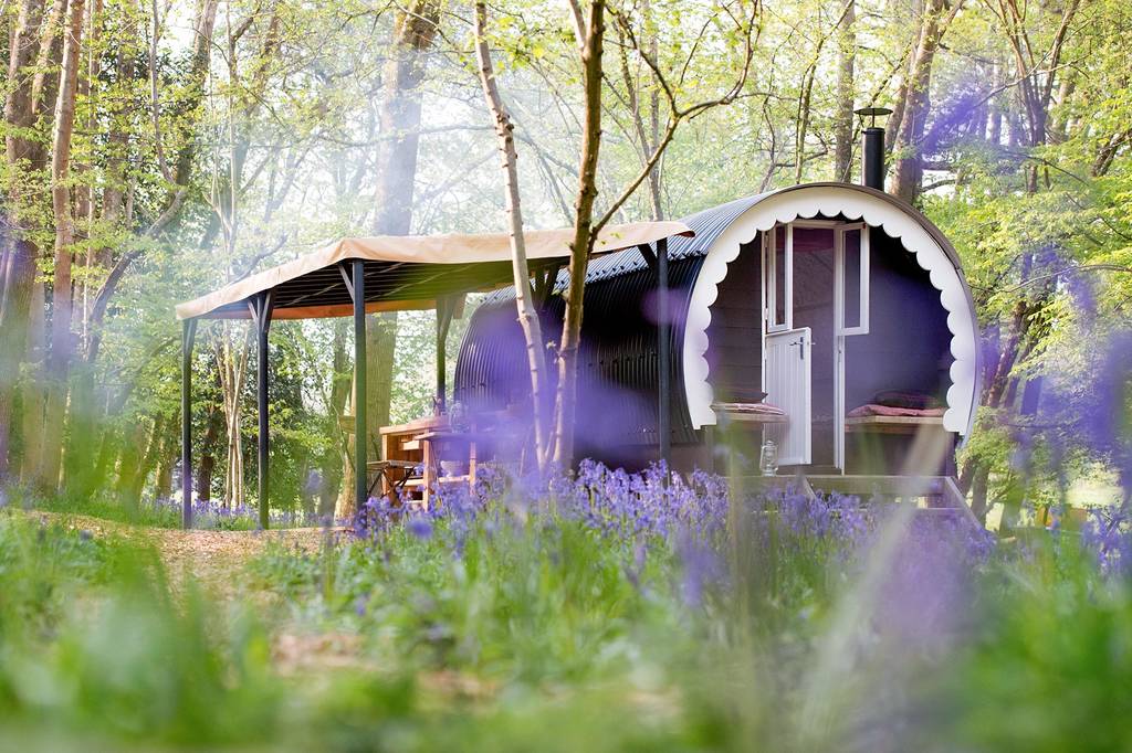Walk Wood Wagon Wagon in Sussex Canopy & Stars