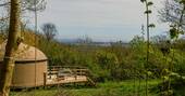 View from the yurt