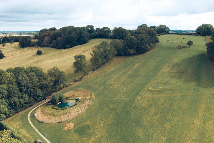 Autumnal drone shot
