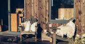 Outdoor seating