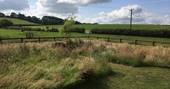 View from Jesters Shepherd's Hut at Hill Farm, Warwickshire