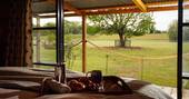 View from bed