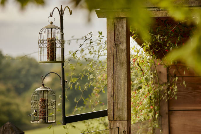 Oakdown Treehouse - bird feeder, Colerne, Wiltshire