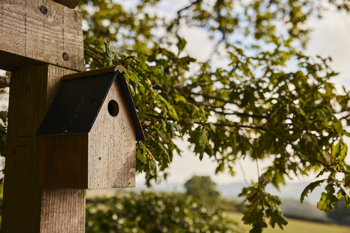 Oakdown Treehouse - birdhouse, Colerne, Wiltshire