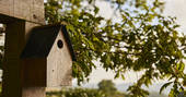 Oakdown Treehouse - birdhouse, Colerne, Wiltshire