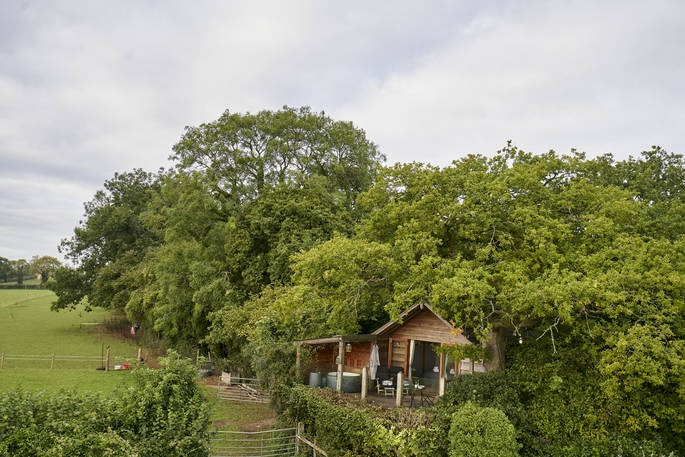 Oakdown Treehouse - surrounding area, Colerne, Wiltshire