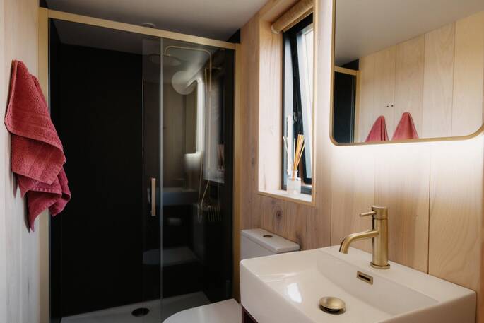 Bathroom with a hot shower, sink and flushing toilet