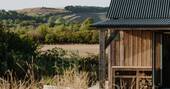 Brambles view