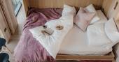 Fold out bed