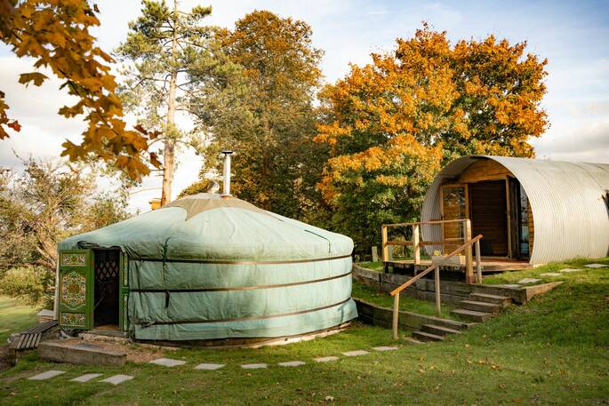 Autumnal trees around the yurt