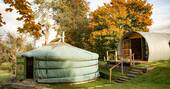 Autumnal trees around the yurt