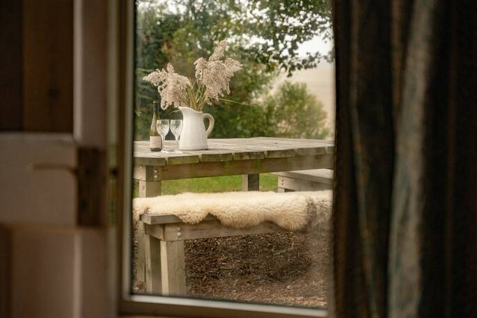 Looking through the window