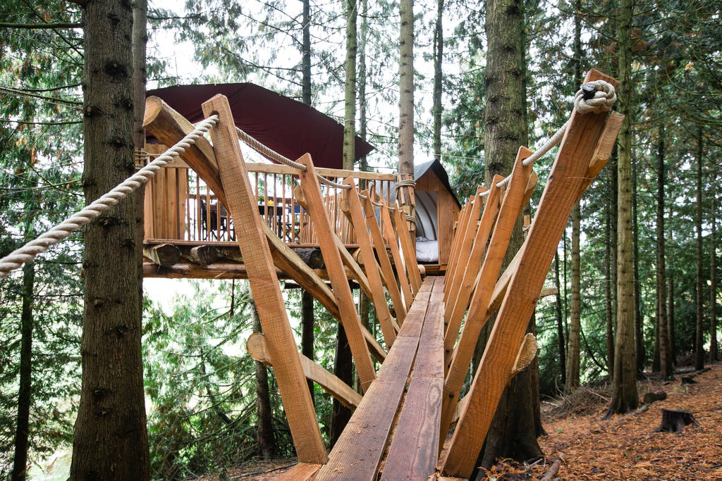 Puckshipton Treehouse | Treehouse in Wiltshire | Canopy & Stars