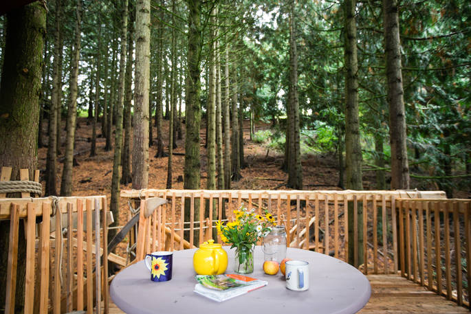 View of the woods from the seating area on the platform at Puckshipton tree house in Wiltshire 