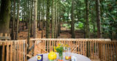 View of the woods from the seating area on the platform at Puckshipton tree house in Wiltshire 