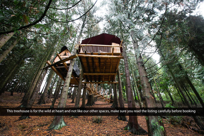 Puckshipton Treehouse elevated between the trees in the Wiltshire Woods